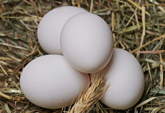 Дијета са јајима укључује свакодневно једење кокошијих јаја. 
